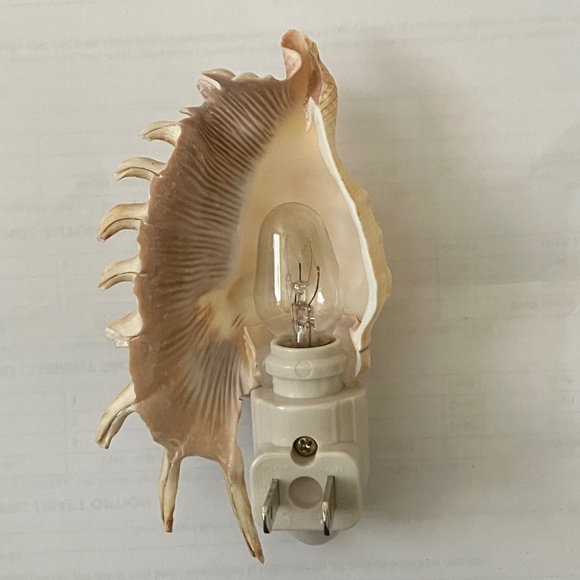 Natural Seashell Night Light Plug-in - Picture 3 of 3